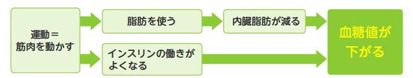 定期的な運動は、内臓脂肪減少＋血糖値低下